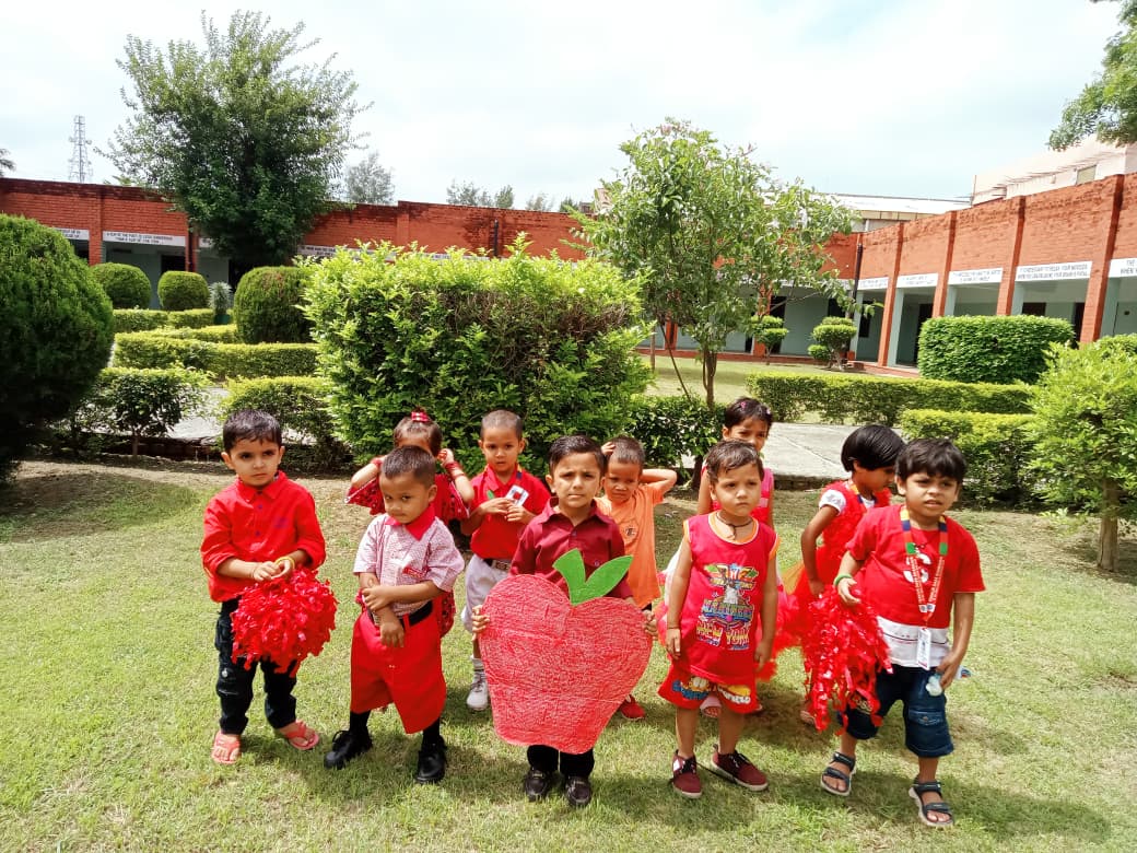 WhatsApp_Image_2026-03-14_at_12-39-00