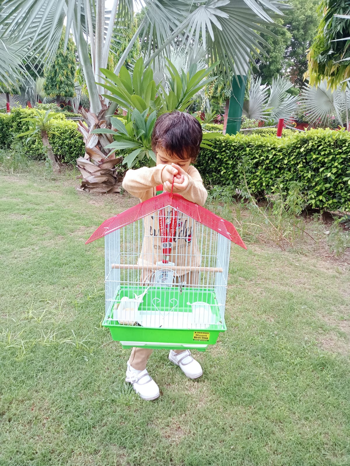 WhatsApp_Image_2026-03-19_at_11-39-53